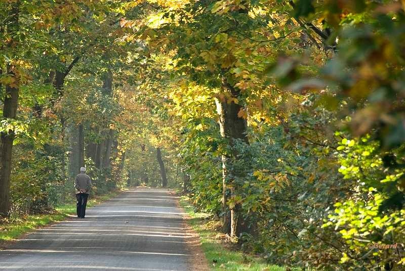 Wandelen in Beverbeek.JPG - Wandelen in Beverbeek